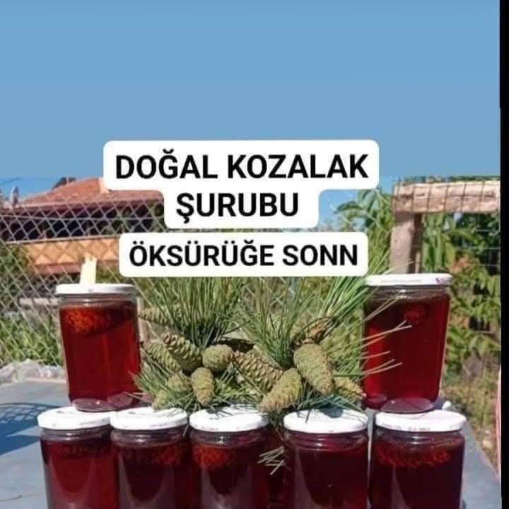Kozalak Şurubu - topraktansofraya.com