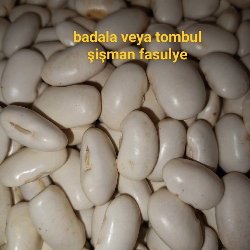 badala şak şak fasulye ( 1 kğ) - topraktansofraya.com